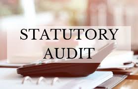 Statutory Audits